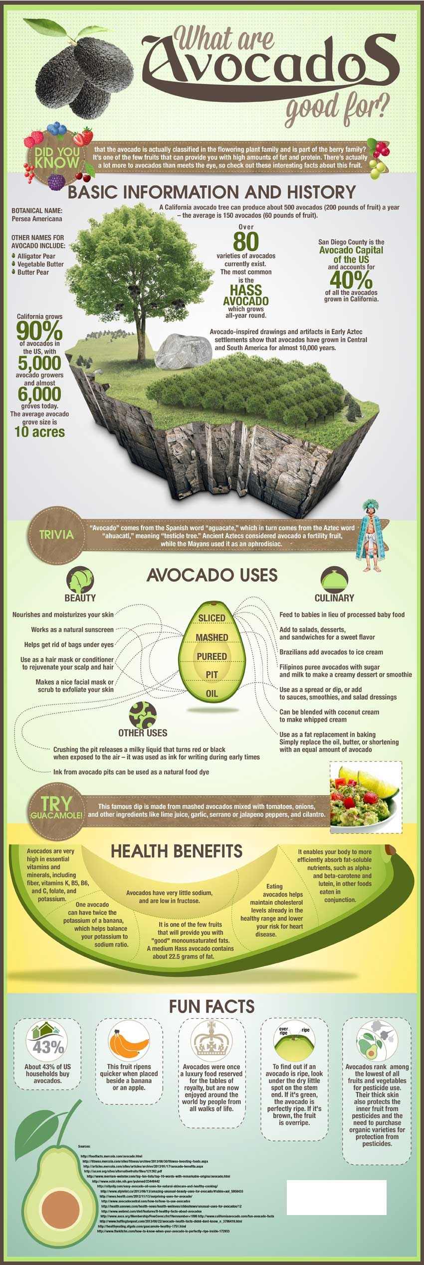avocado-uses-health-benefits