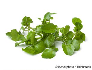 watercress-nutrition-facts
