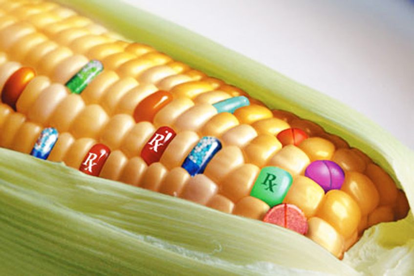 pharmcorn