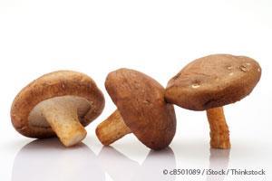 shiitake-mushrooms