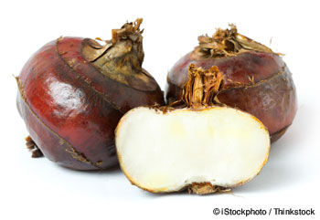 water-chestnuts-nutrition-facts