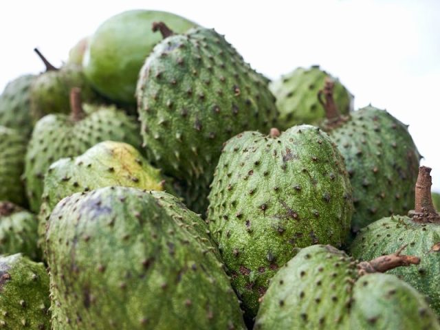 Soursop fruit